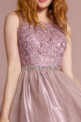 Lace Illusion Top A Line Short Graduation Dress Cocktail