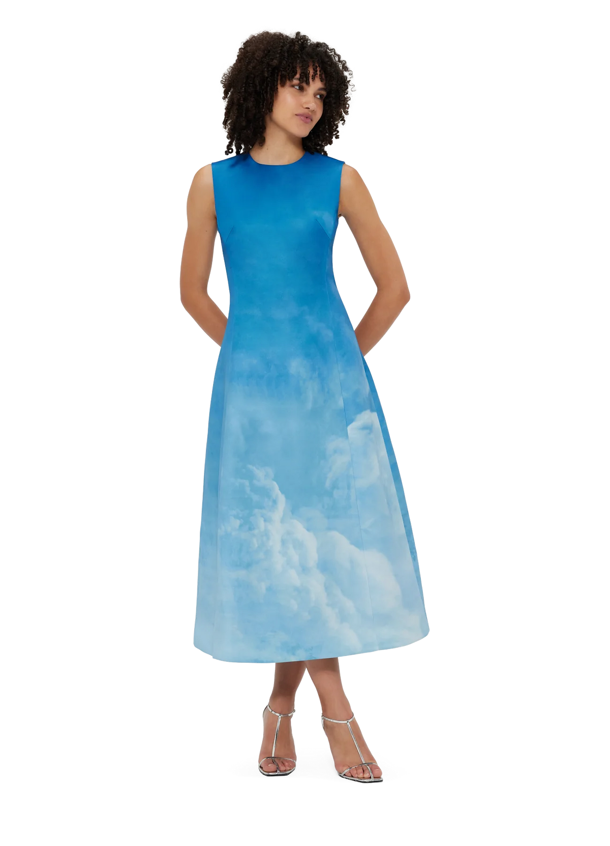 Cleo Sleeveless Midi Dress - Aerial Print
